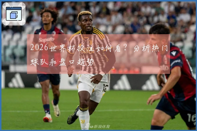 2026世界杯投注如何看？分析热门球队和盘口趋势
