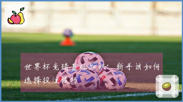 世界杯竞猜基础知识：新手该如何选择投注技巧